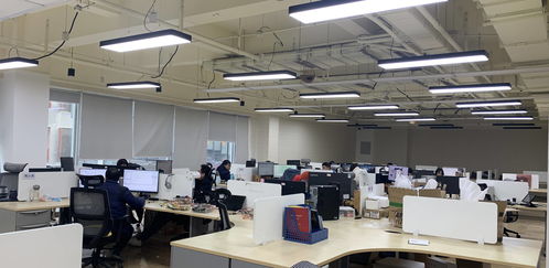 成都高新區 以“實”字為核心，助力小微信息技術咨詢服務企業蓬勃發展